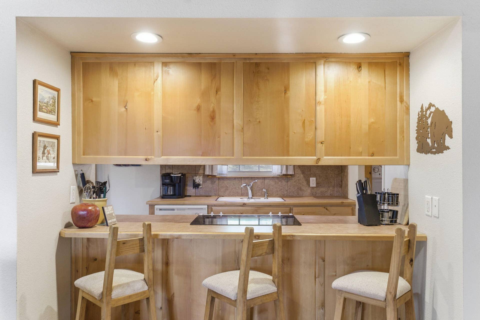12-web-or-mls-DSC09733