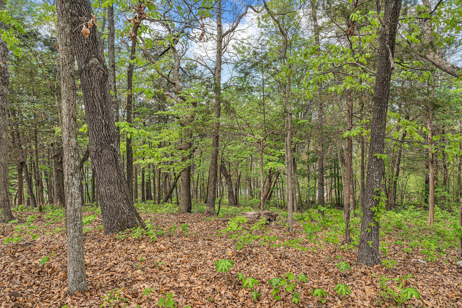 40 Kimberling, #1, Kimberling City, MO 65686 40-1KimberlingShores-83-33