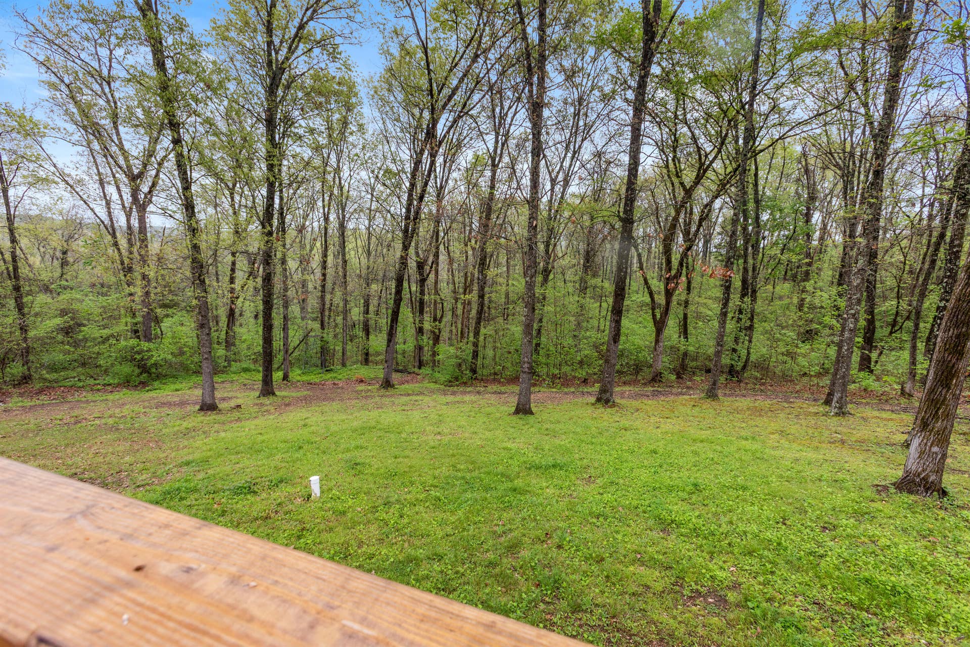 250 Little Road Lane, Reeds Spring, MO 65737 098A2971