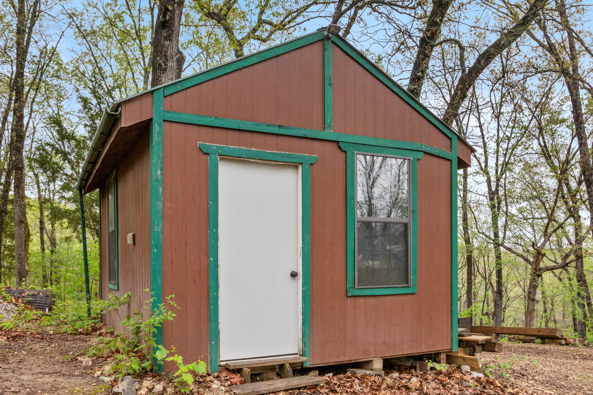 250 Little Road Lane, Reeds Spring, MO 65737 098A2956