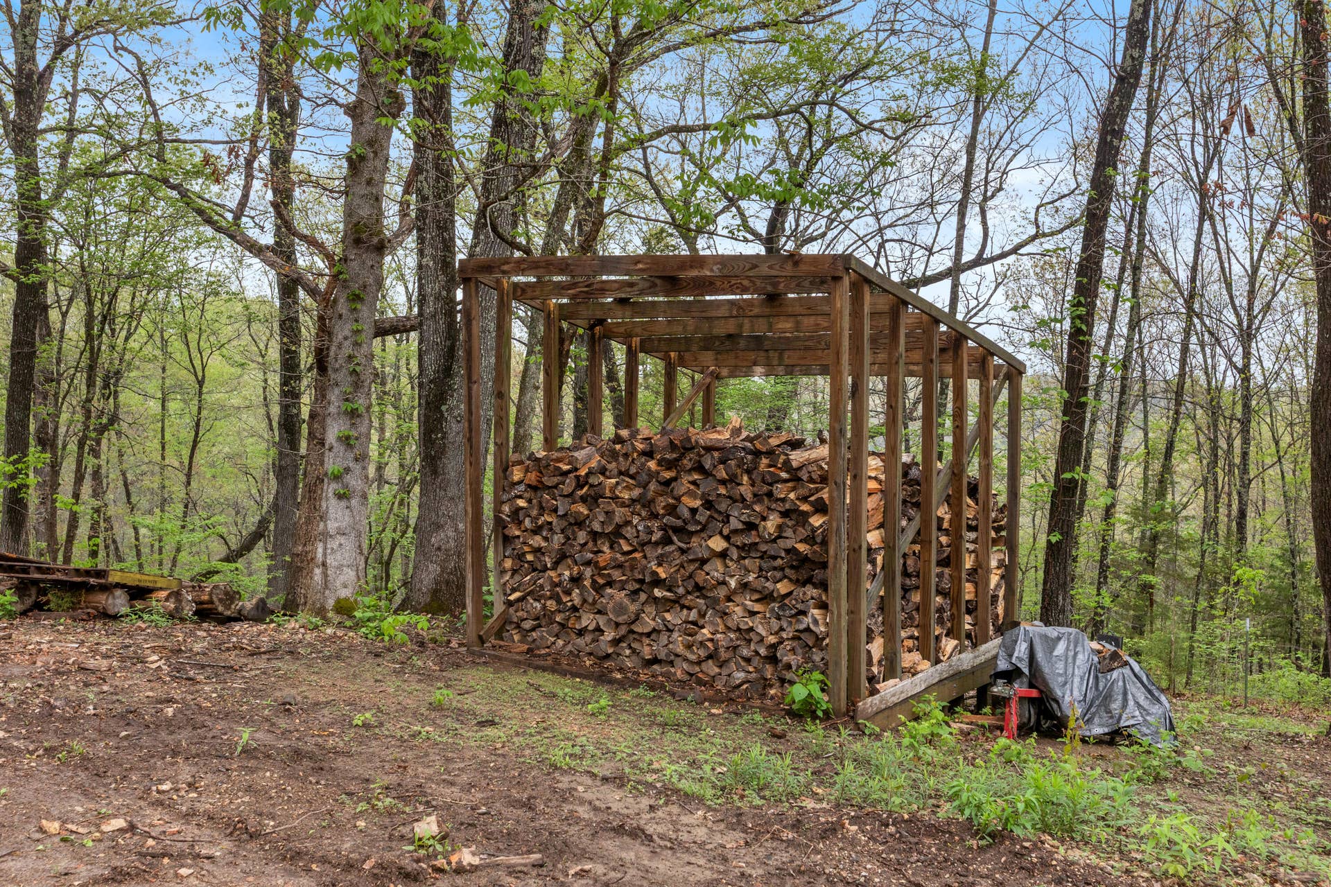 250 Little Road Lane, Reeds Spring, MO 65737 098A2961