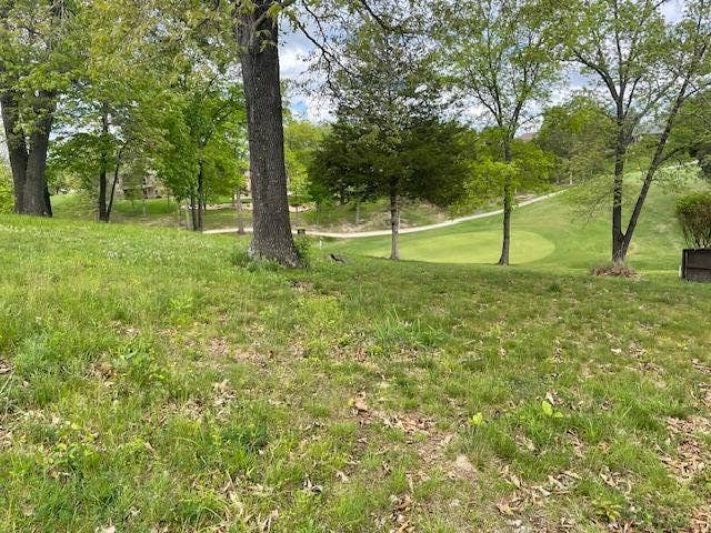 1311 Stoneycreek Lane, Branson West, MO 65737 Few Trees to Remove