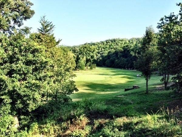 1311 Stoneycreek Lane, Branson West, MO 65737 Golf Course