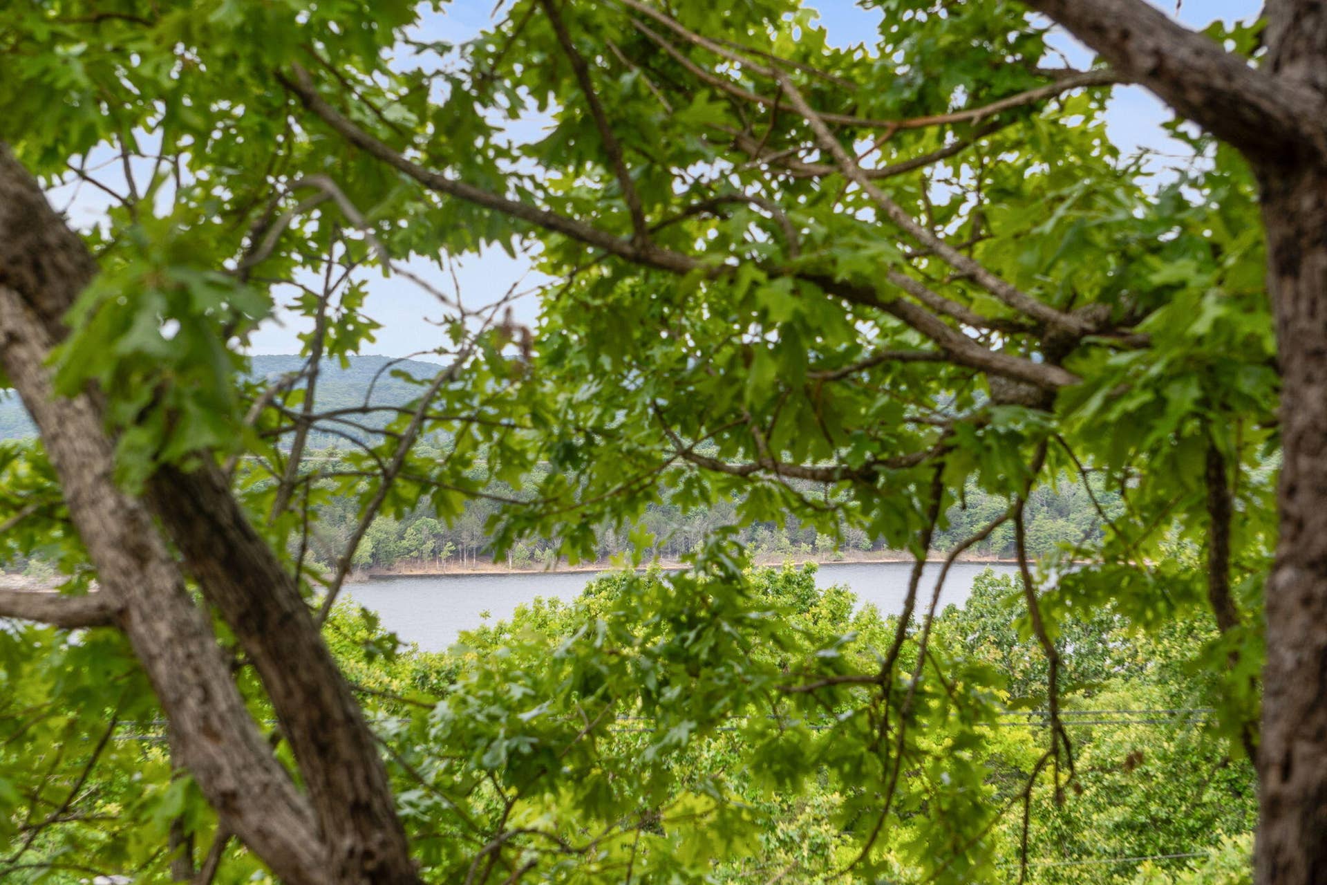 166-Terrace-Park-Rd-Nature-Cabin-View