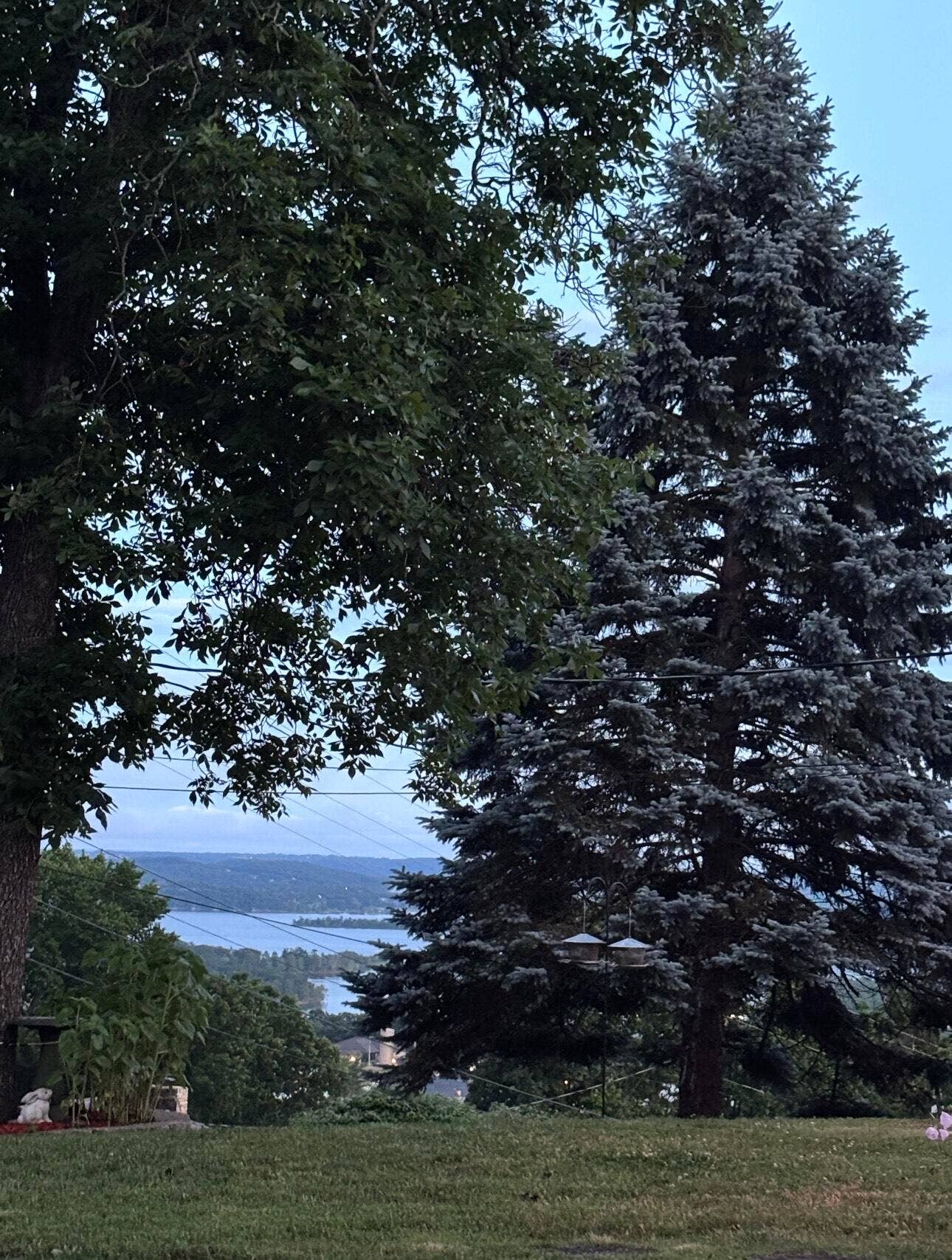 35 Trail Ridge Drive, Kimberling City, MO 65686 35-Trail-Ridge-Dr-City-Close-Nature