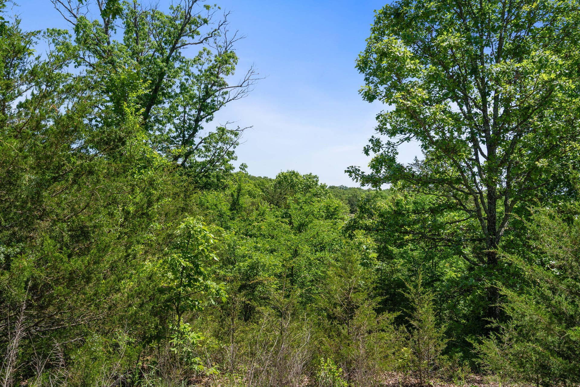 Lot 134 Beechwood Drive, Branson West, MO 65737 134-Beechwood-Dr-Branson-Build-Lot
