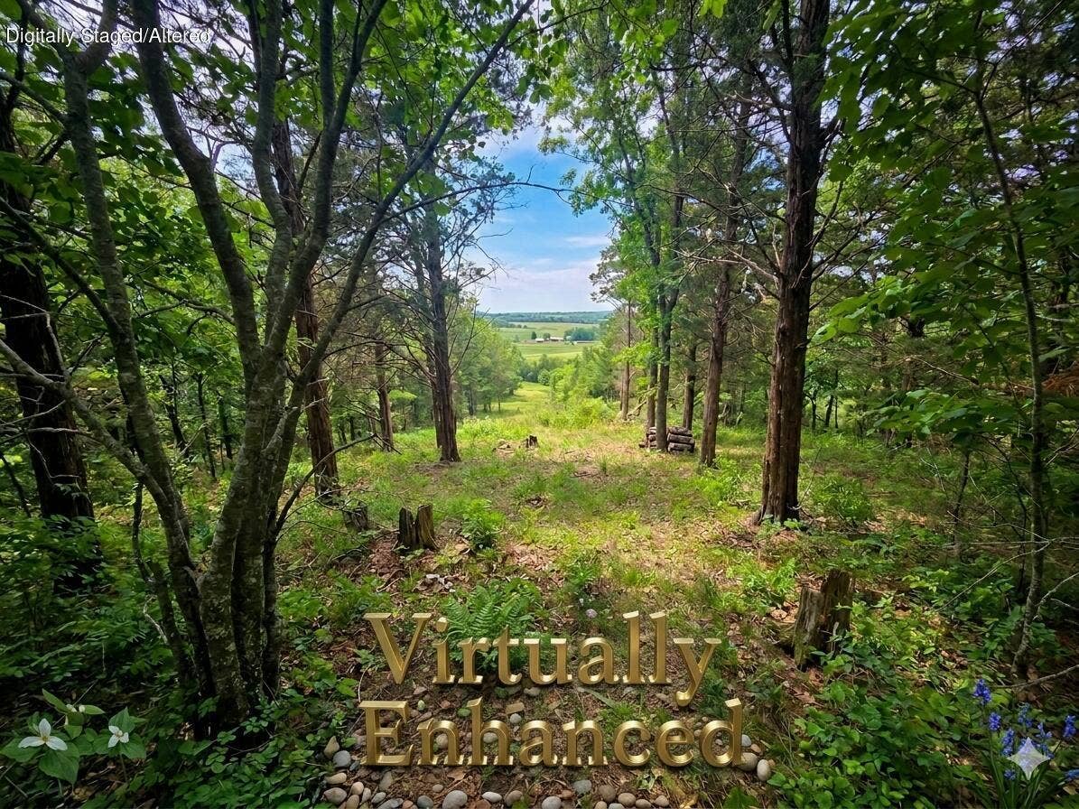178 Virtually Enhanced