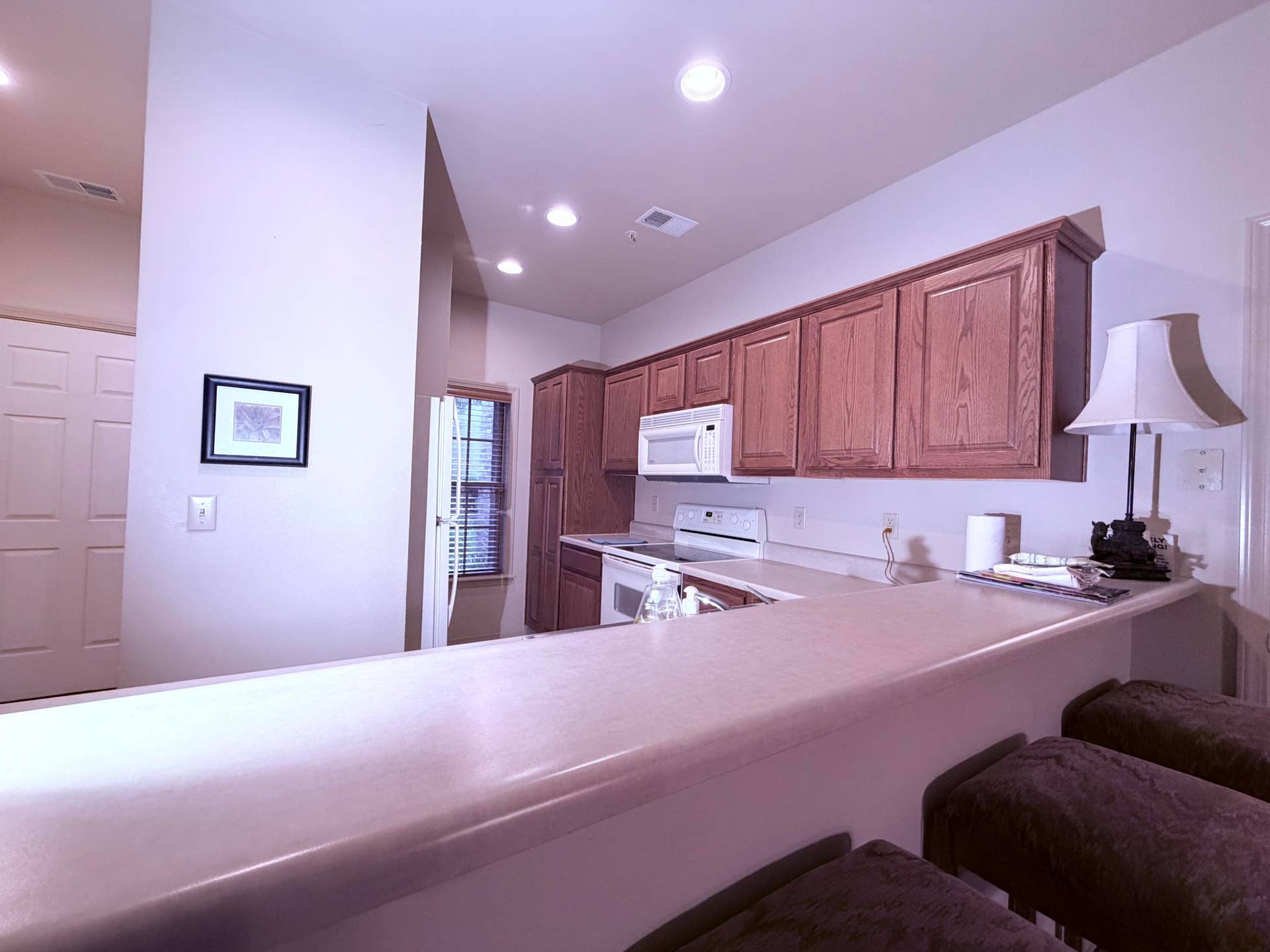 1091 Golf Drive, #Apt 1, Branson West, MO 65737 IMG_7029