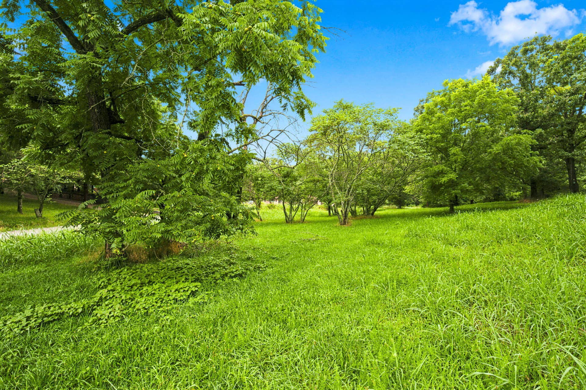 000 Cedar Cove Road, Branson West, MO 65737 5-web-or-mls-HWJ09016