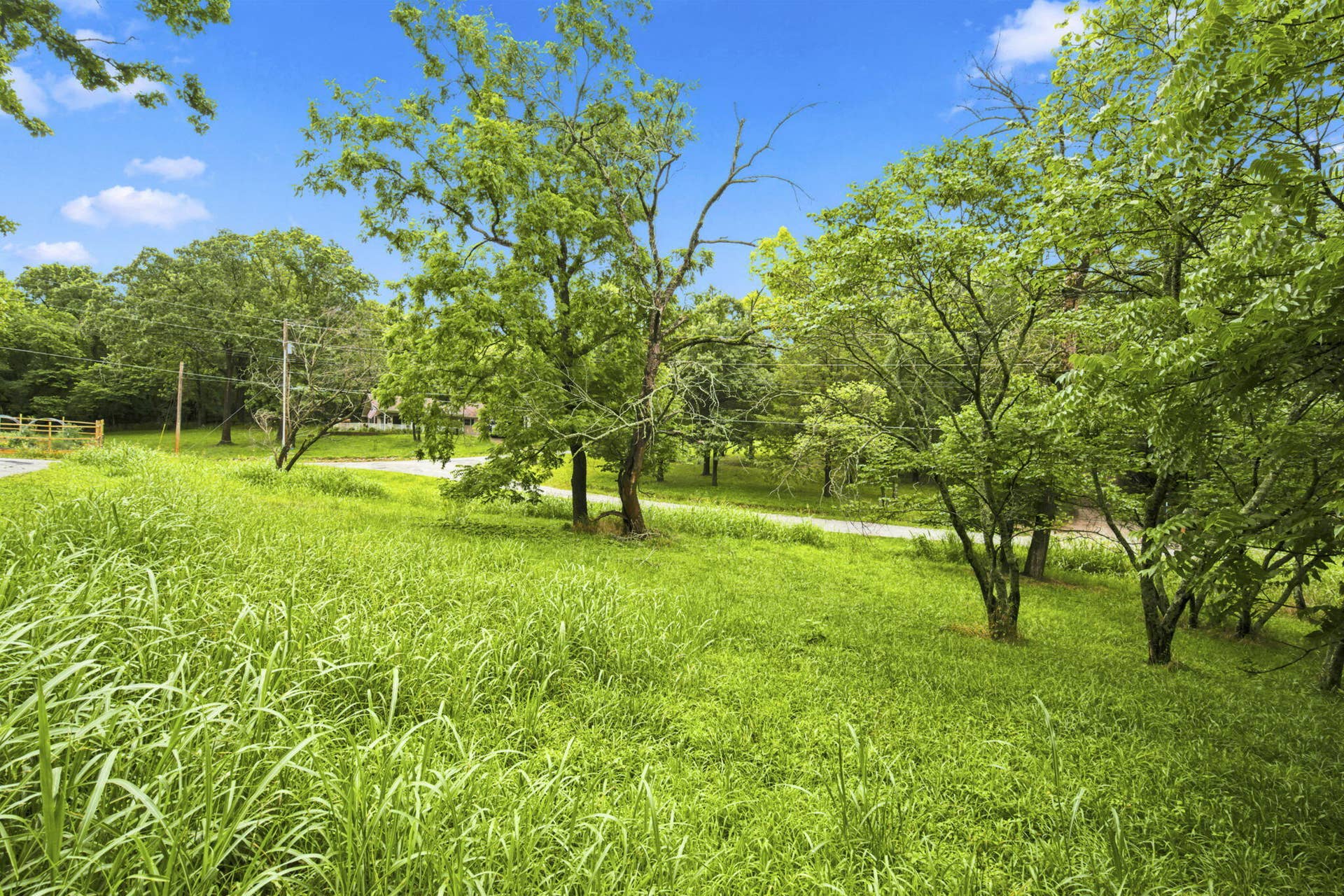 000 Cedar Cove Road, Branson West, MO 65737 6-web-or-mls-HWJ09017 (2)