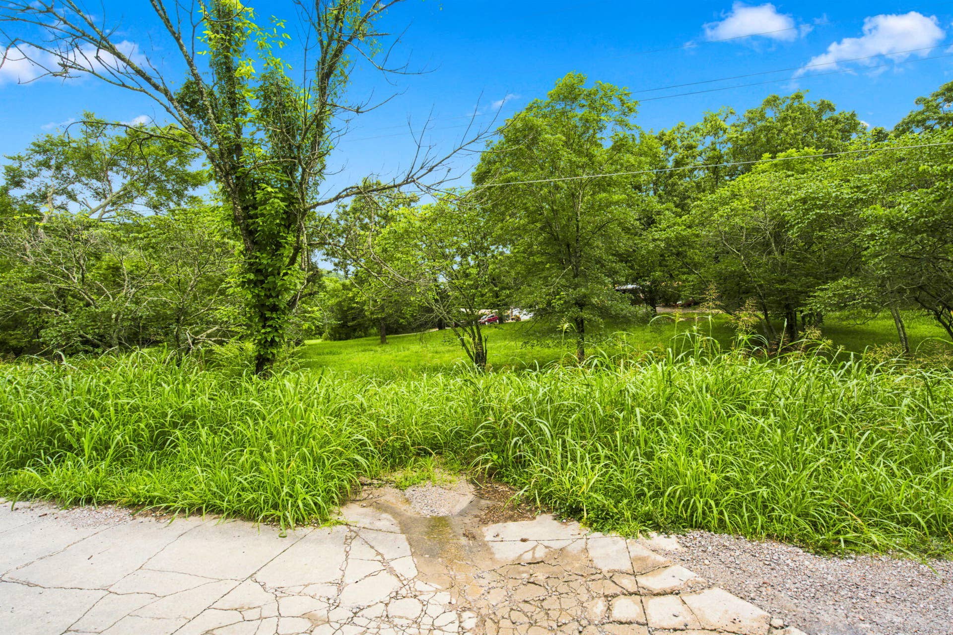 000 Cedar Cove Road, Branson West, MO 65737 2-web-or-mls-HWJ09012