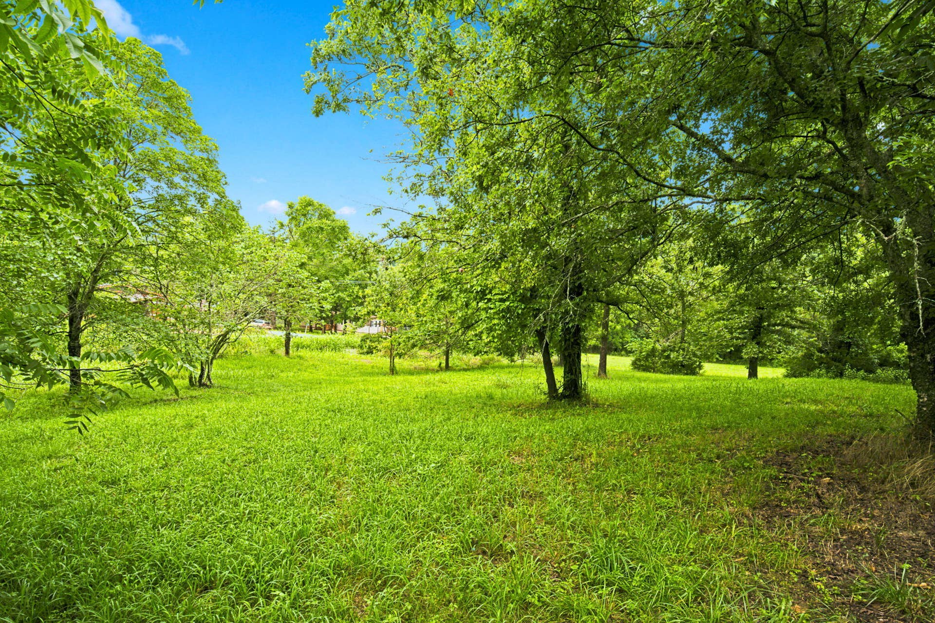 000 Cedar Cove Road, Branson West, MO 65737 7-web-or-mls-HWJ09018
