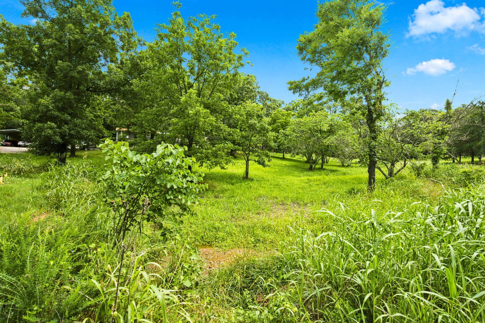 000 Cedar Cove Road, Branson West, MO 65737 8-web-or-mls-HWJ09024