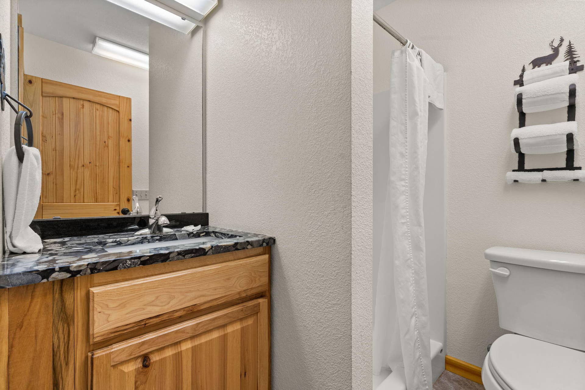 346-Terrace-Crest-Ln-Modern-Bath