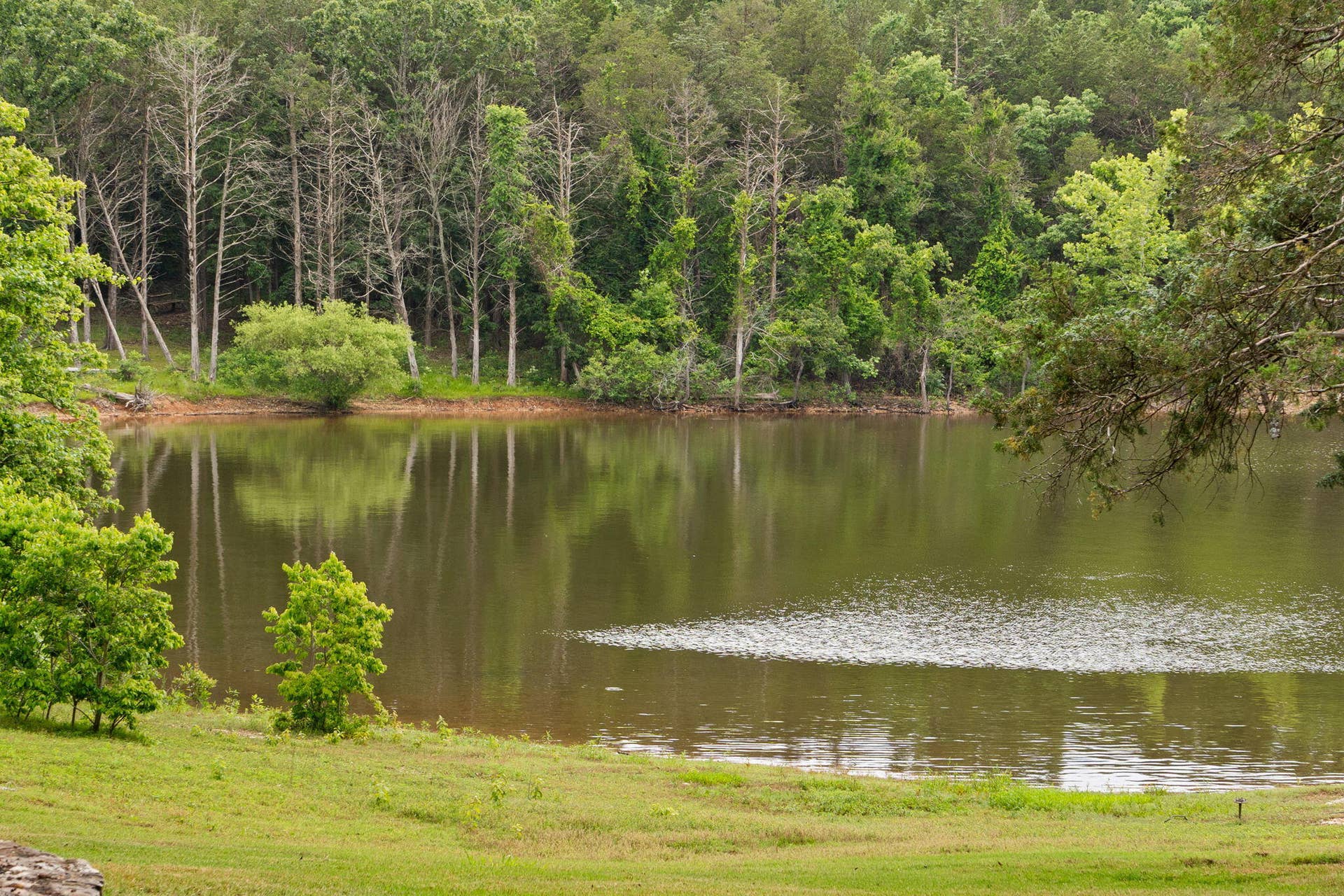 346 Terrace Crest Lane, #6, Reeds Spring, MO 65737 346-Terrace-Crest-Ln-Lakefront-View