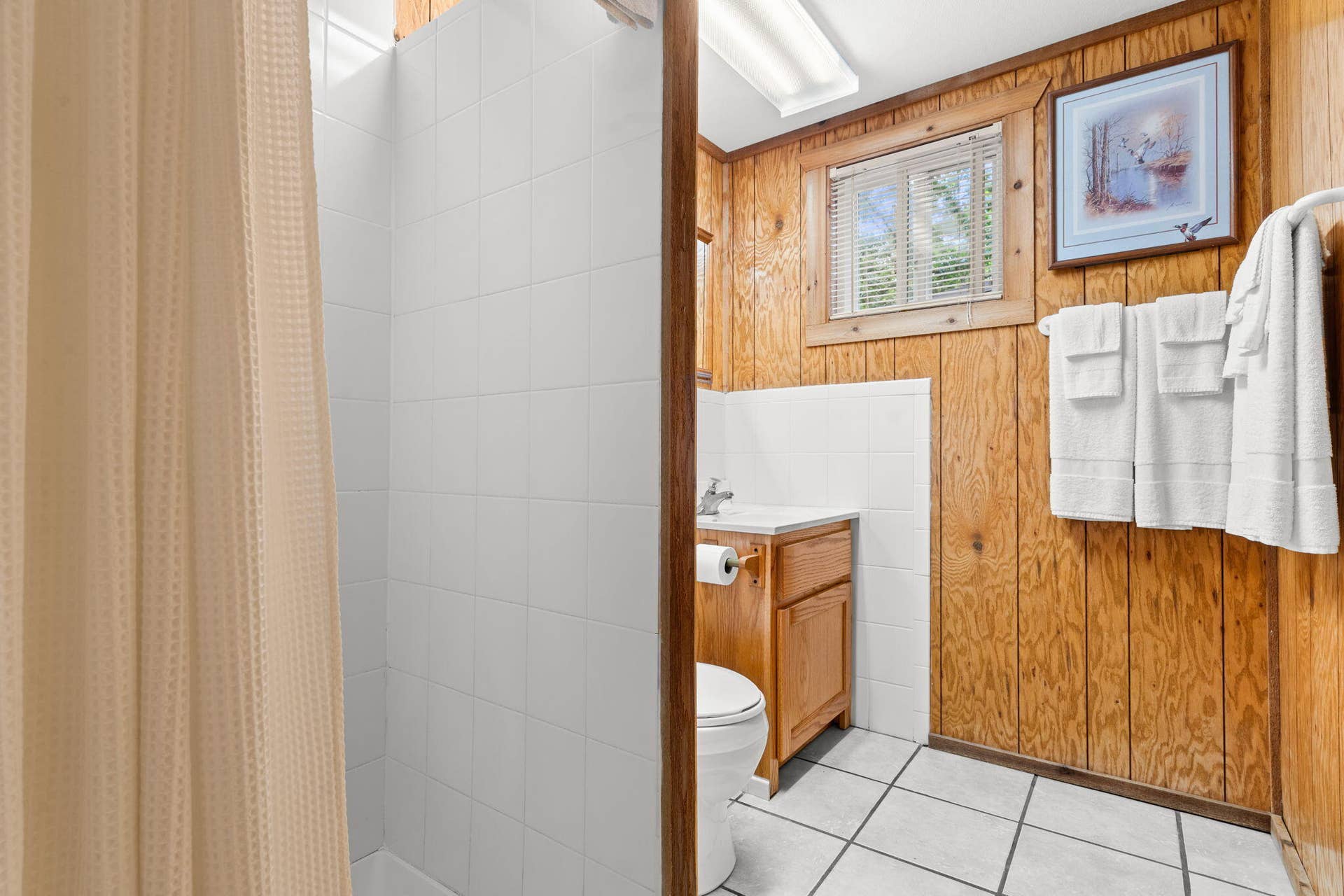 346-Terrace-Crest-Ln-Modern-Bath