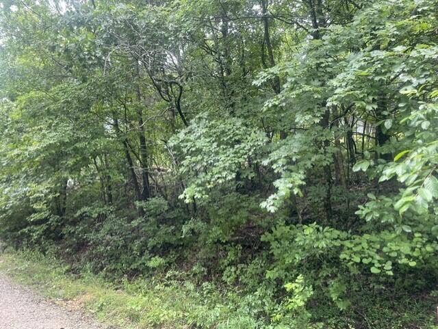 000 Sun Perch Lane, Kimberling City, MO 65686 sun perch 4