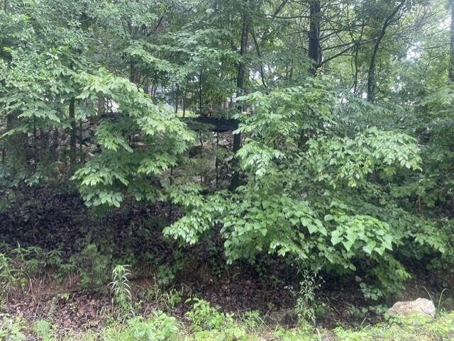 000 Sun Perch Lane, Kimberling City, MO 65686 sun perch 1