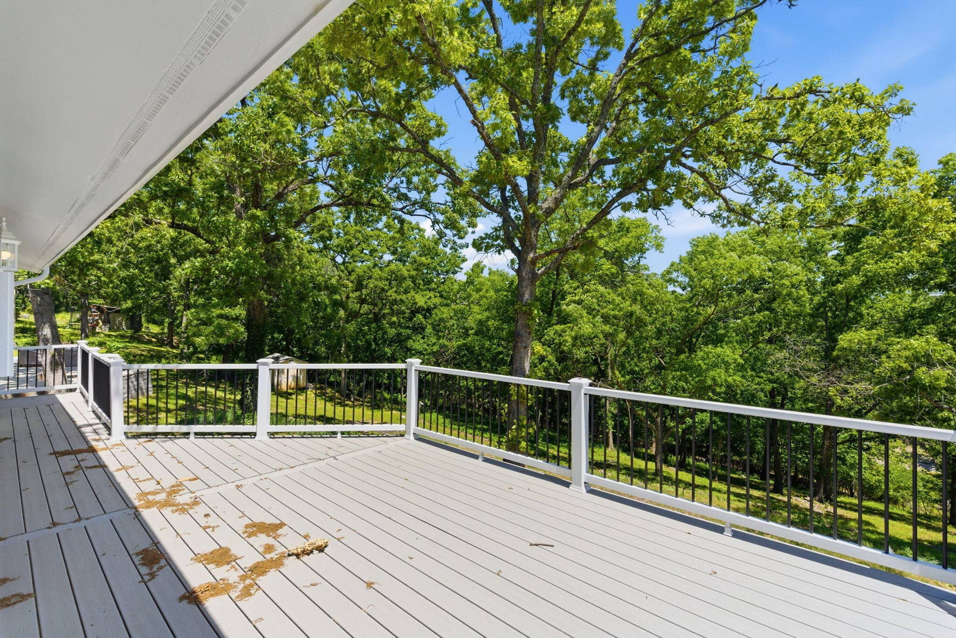 57-web-or-mls-DSC06704