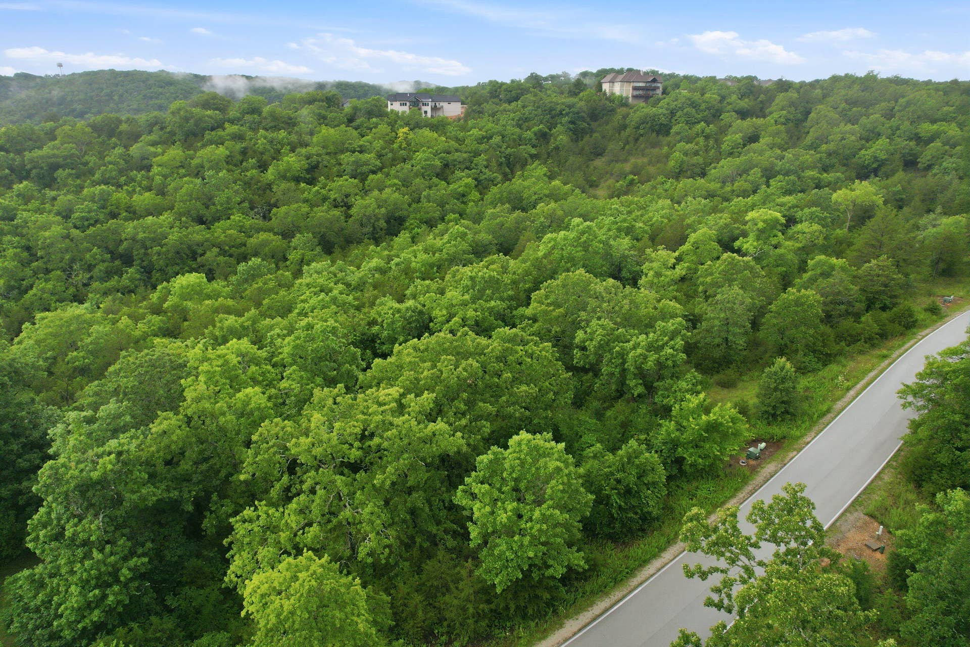 Lot 139 Beechwood Drive, Branson West, MO 65737 Surrounded By Nature