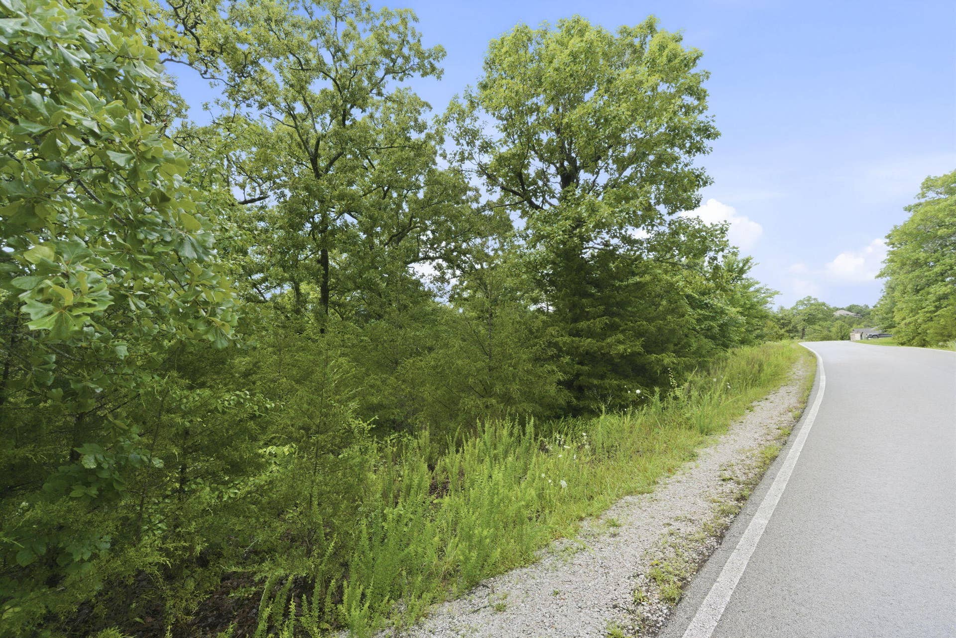 Lot 139 Beechwood Drive, Branson West, MO 65737 Paved Frontage