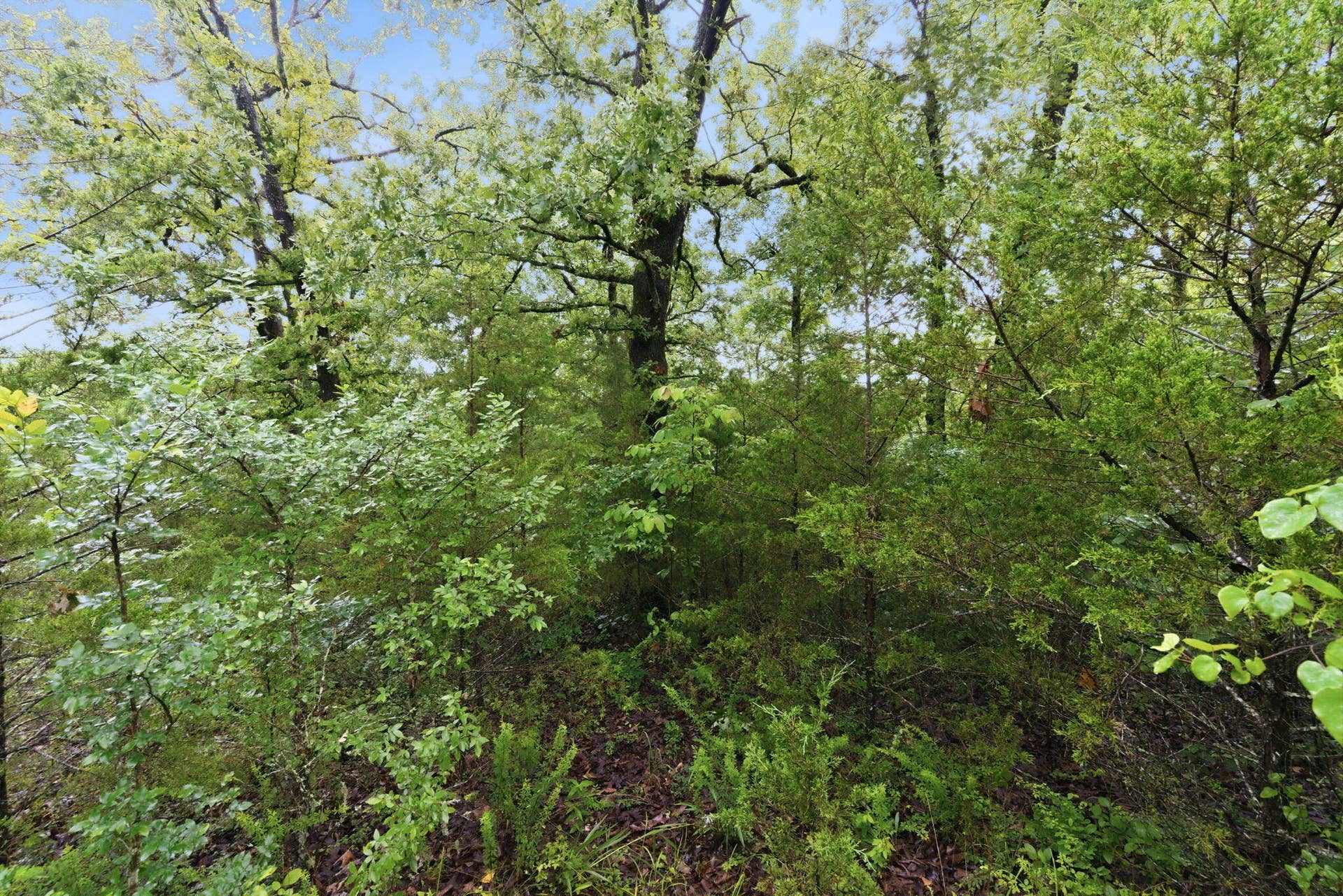 Lot 139 Beechwood Drive, Branson West, MO 65737 Endless Possibilities