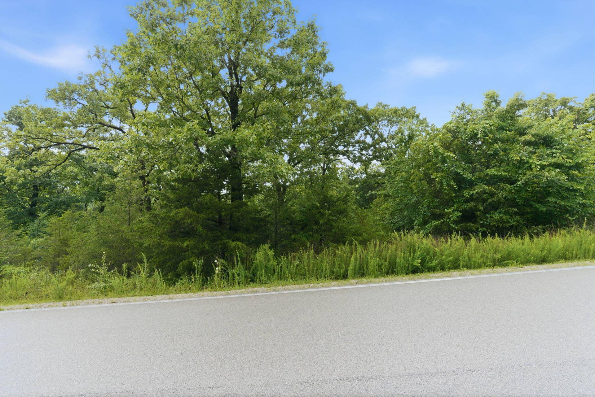 Lot 139 Beechwood Drive, Branson West, MO 65737 Ready For Development