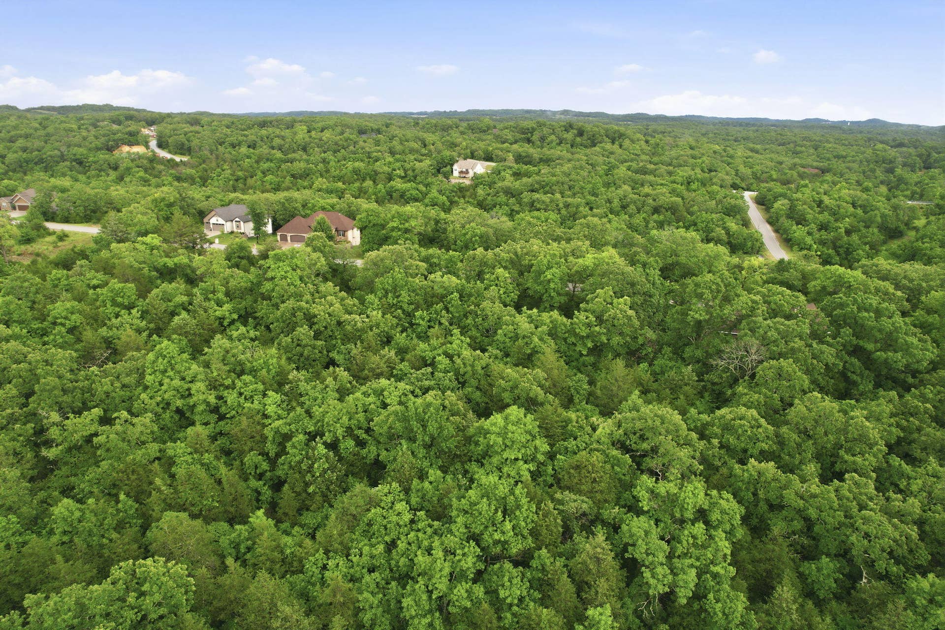 Lot 139 Beechwood Drive, Branson West, MO 65737 Build Among the Trees