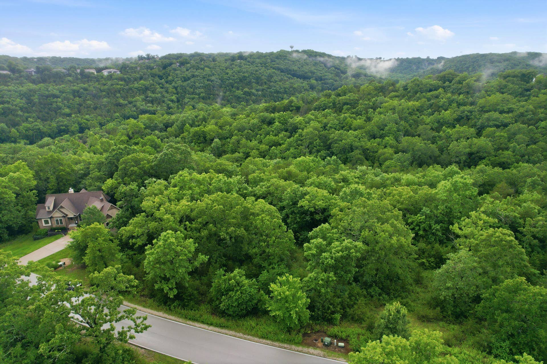 Lot 139 Beechwood Drive, Branson West, MO 65737 Established Neighborhood