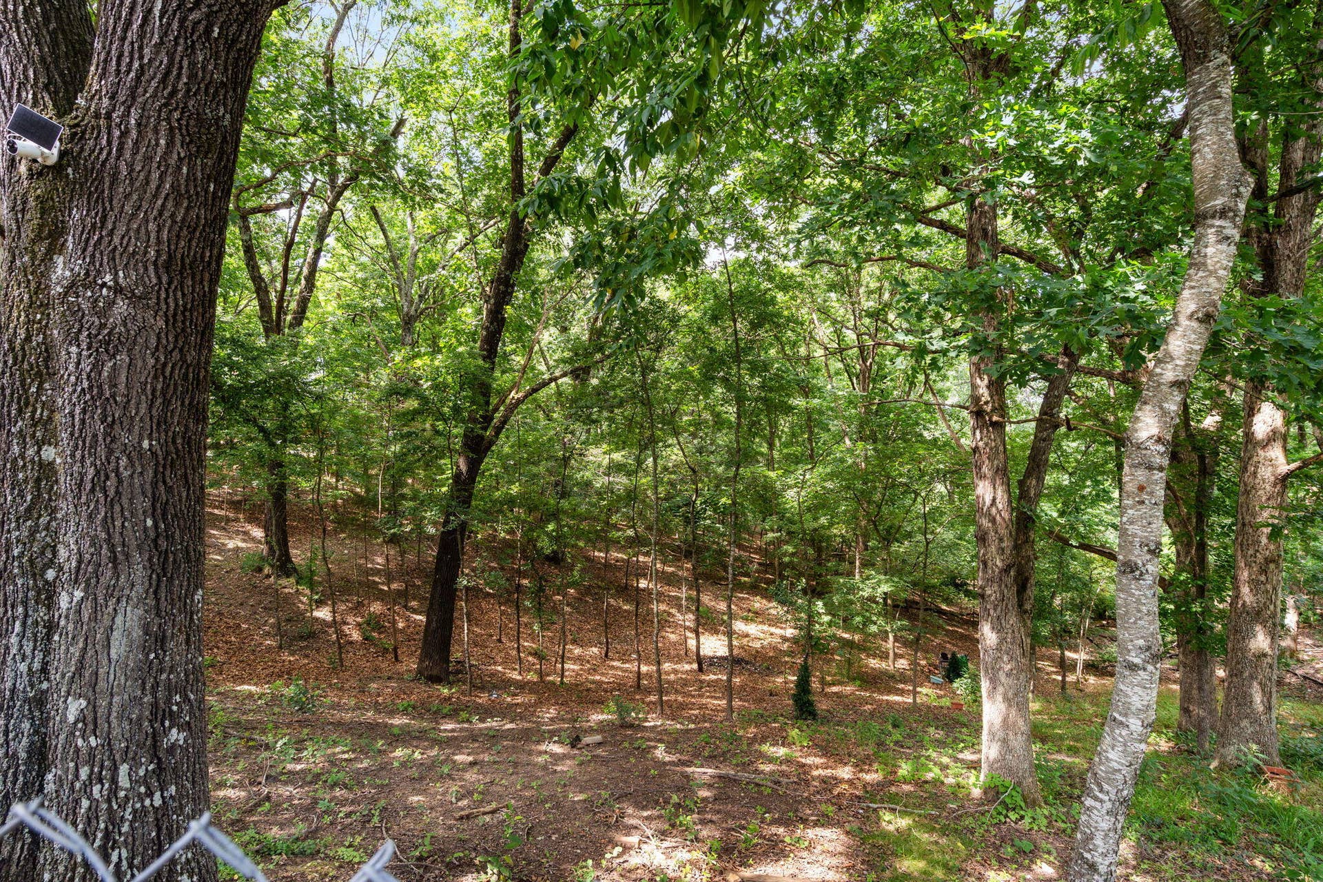 8 Northwoods Drive, Kimberling City, MO 65686 8-Northwoods-Dr-Nature-Escape