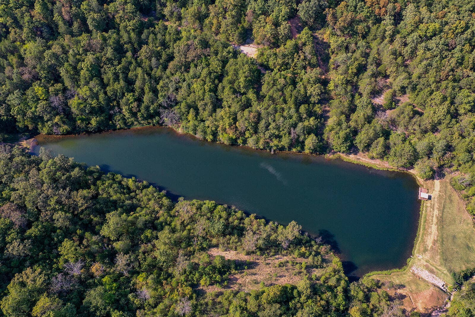 Notch Aerials8