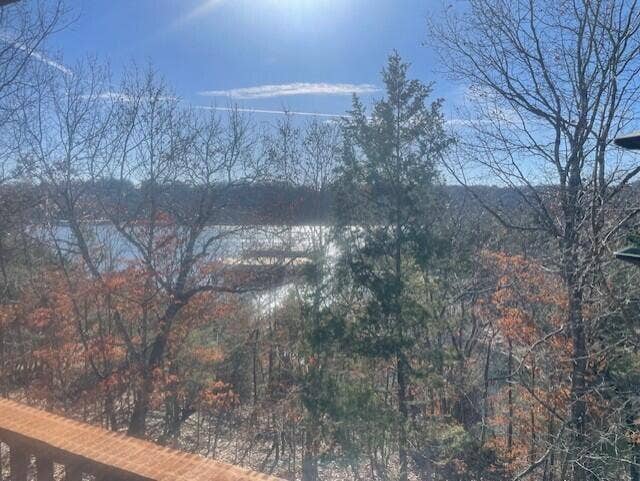 20 Redbud Lane, Kimberling City, MO 65686 Gee View From Deck
