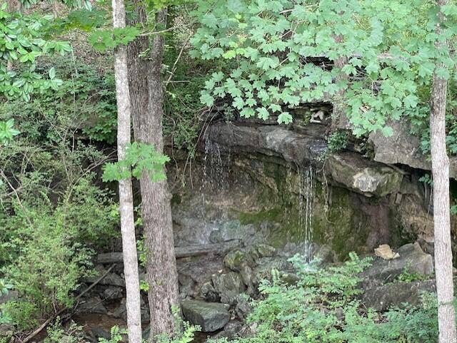 20 Redbud Lane, Kimberling City, MO 65686 Redbud Falls