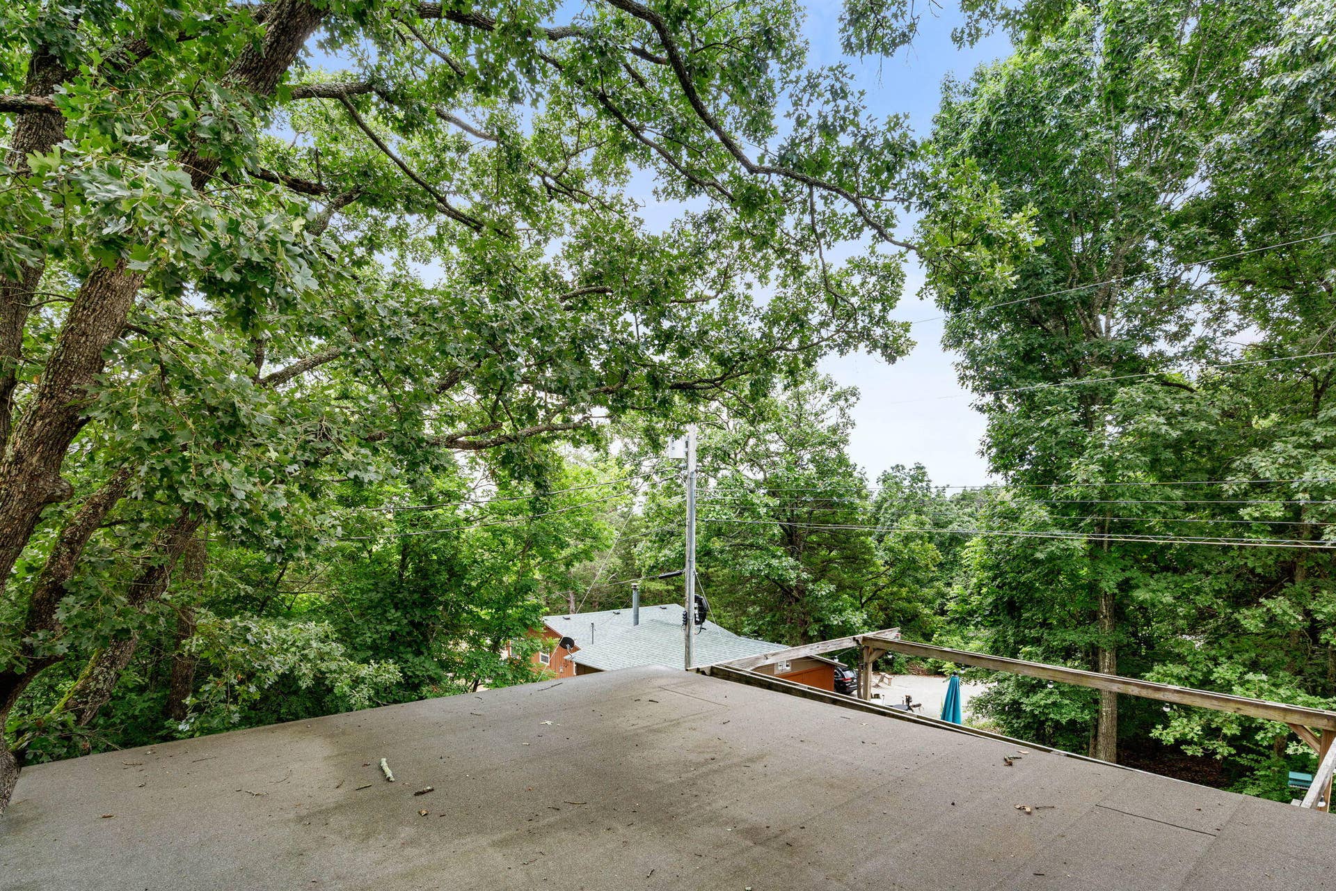 36-web-or-mls-DSC02653