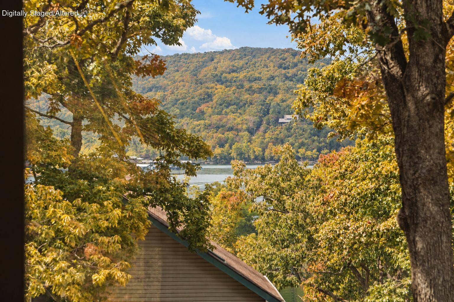 58 Kings Cove Lane, Reeds Spring, MO 65737 58-Kings-Cove-Ln-Lake-Life-Awaits