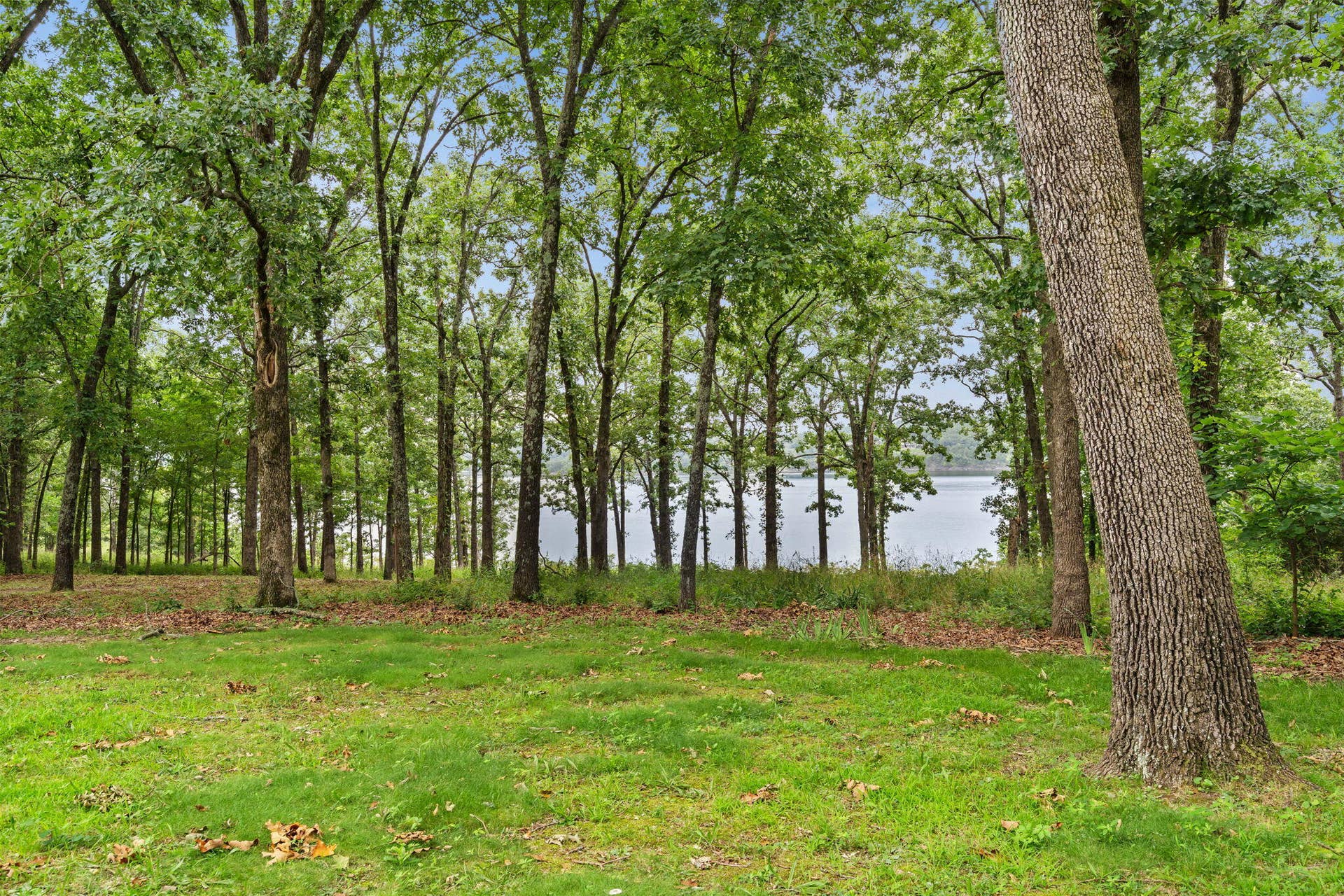 355 Tulip Road, Kimberling City, MO 65686 355-Tulip-Rd-Lakefront-Living