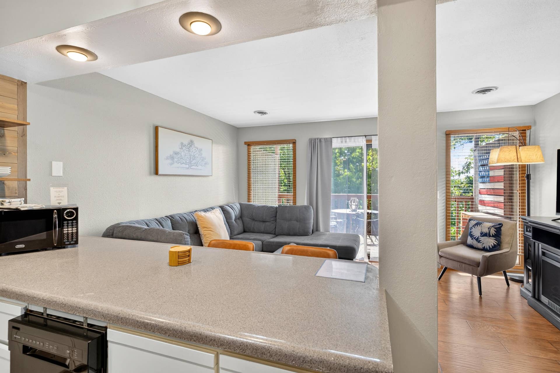 14 Sinatra Court, #Unit 5, Branson West, MO 65737 16-15