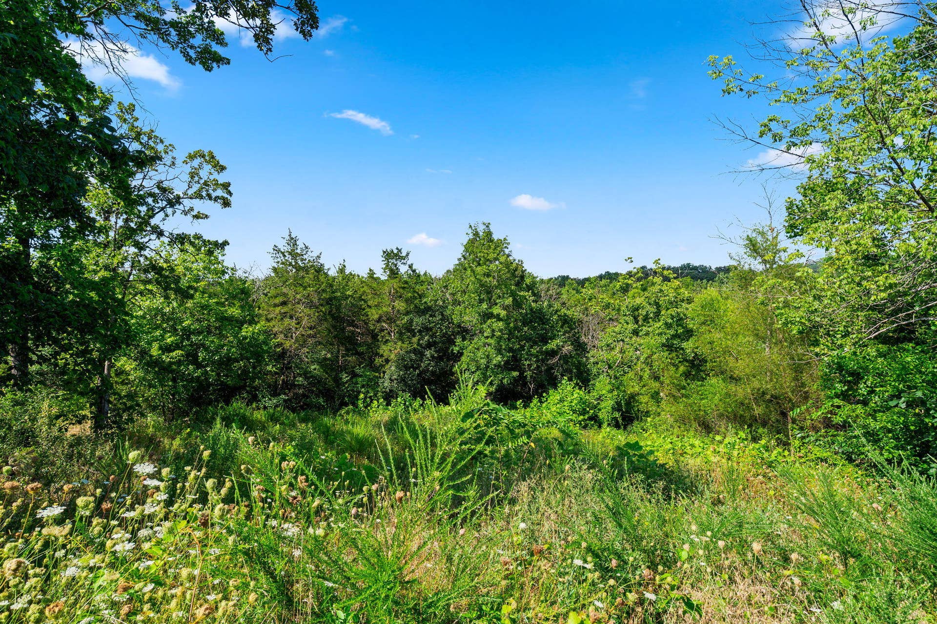 Lot 16 Clear Cove Landing, Reeds Spring, MO 65737 Lot-16-Clear-Cove-Future-Lake-Home