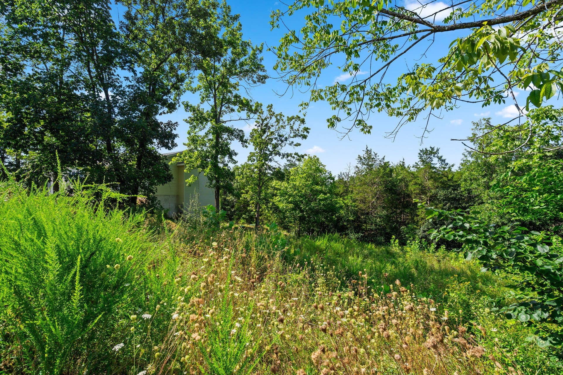 Lot 16 Clear Cove Landing, Reeds Spring, MO 65737 Lot-16-Clear-Cove-Dream-Lake-Lot