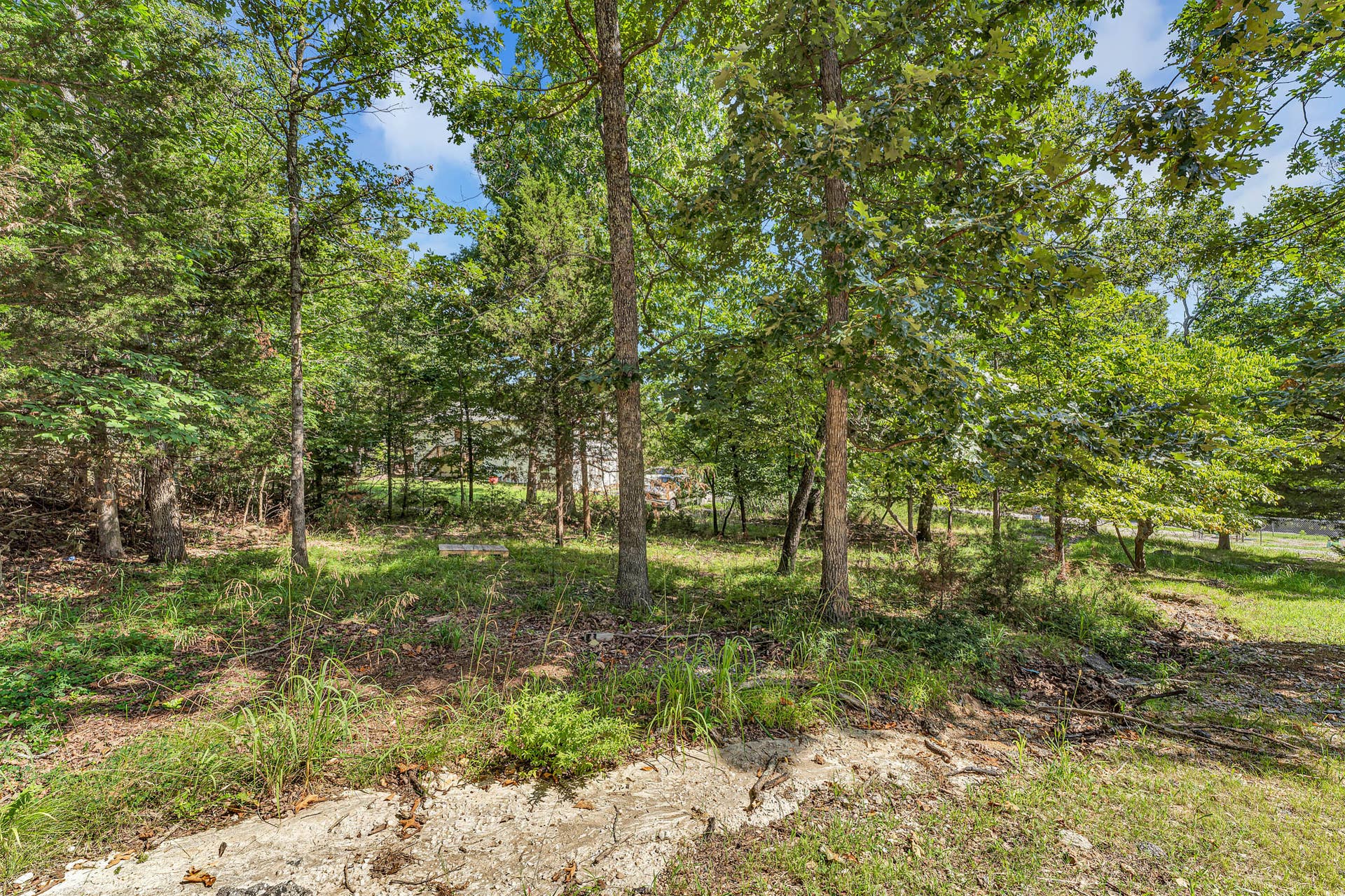 81 Deer Ridge Trail, Kimberling City, MO 65686 extra lot2