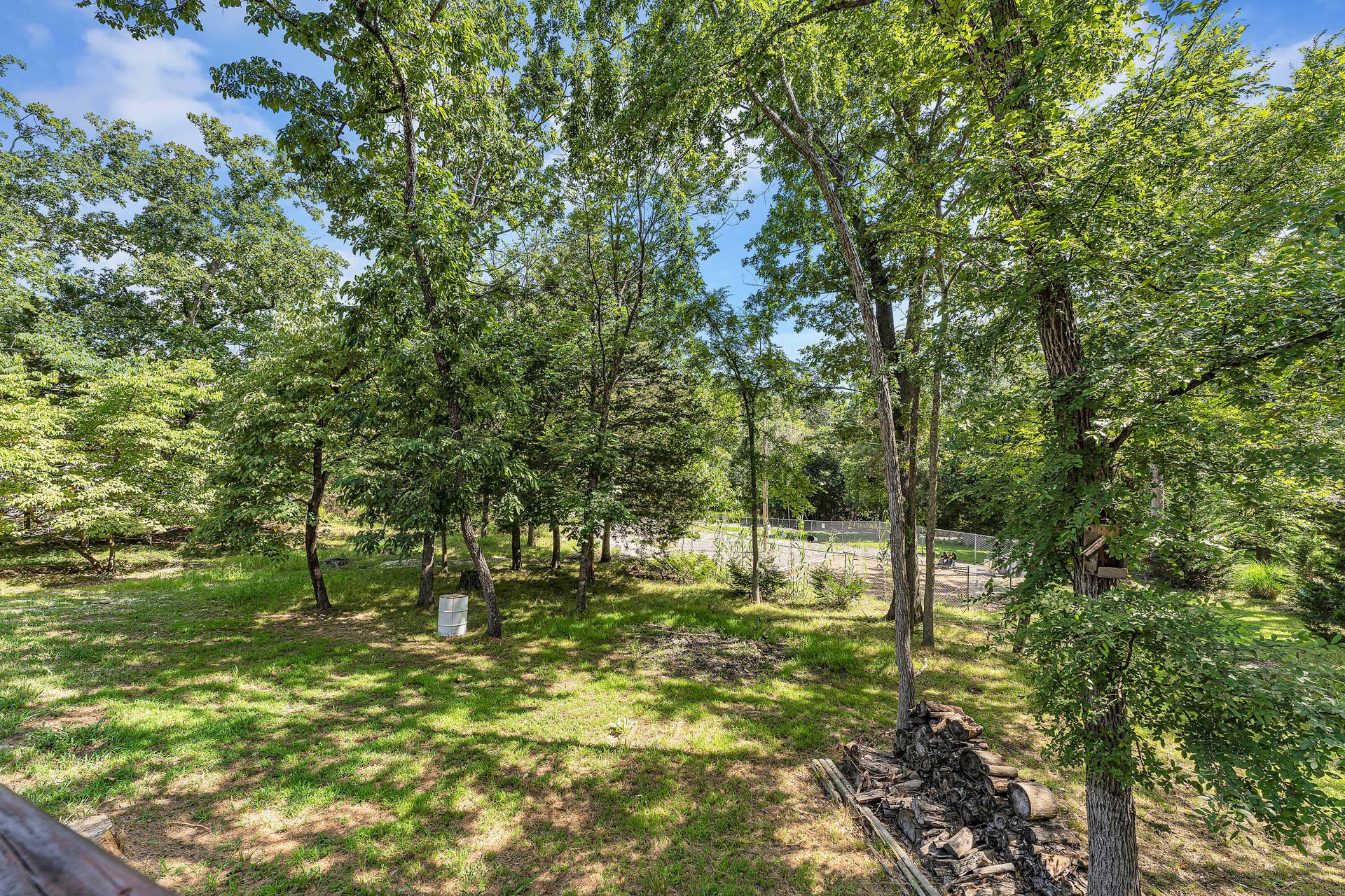 81 Deer Ridge Trail, Kimberling City, MO 65686 backyard 5