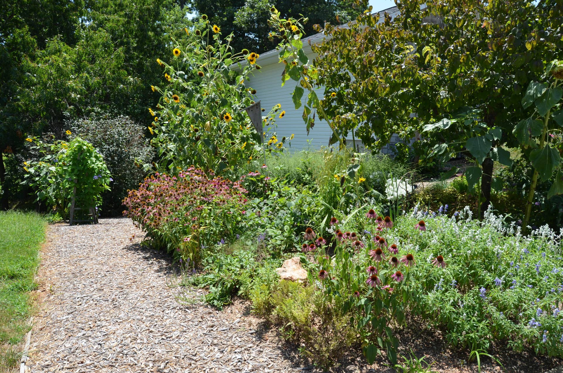 Flower Garden