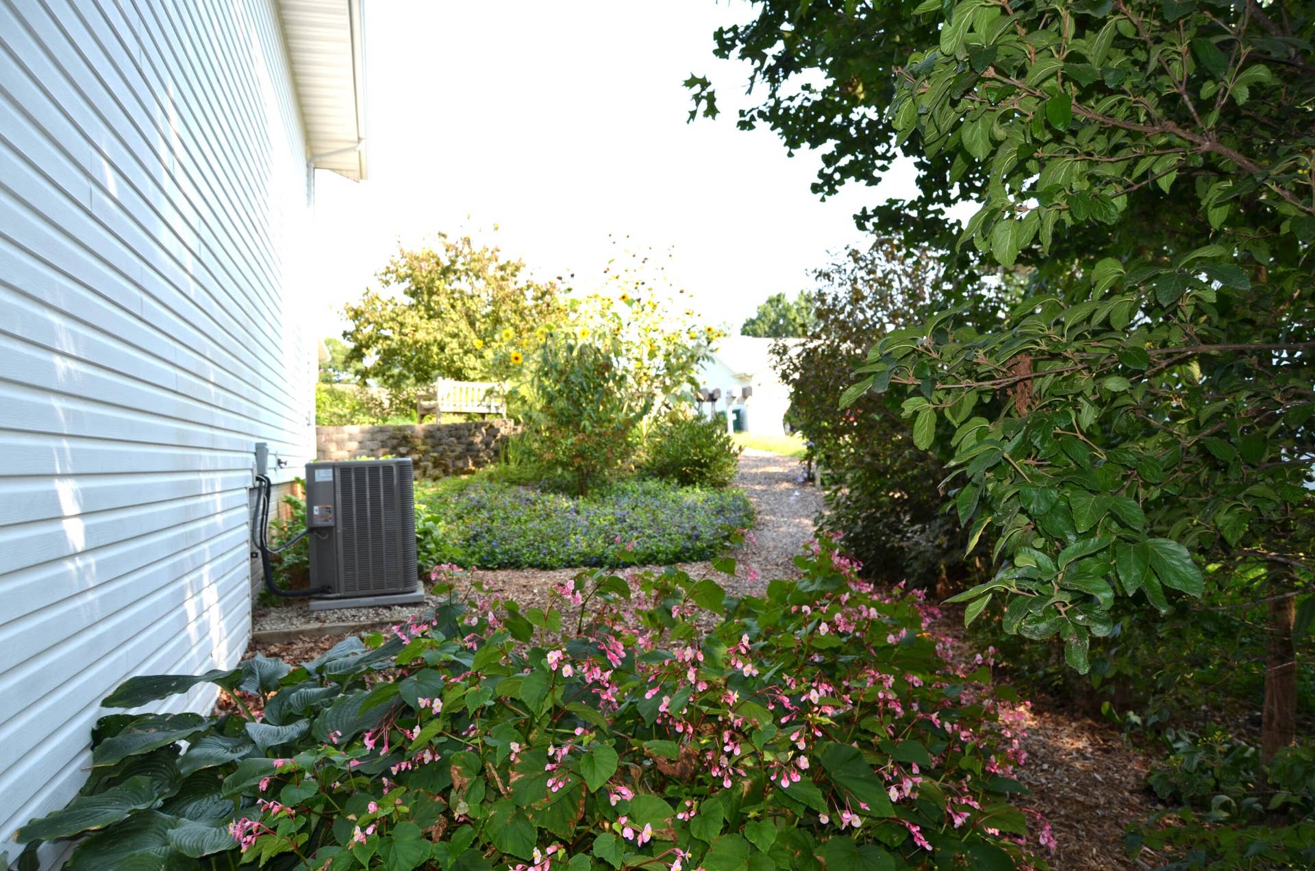 Side Yard