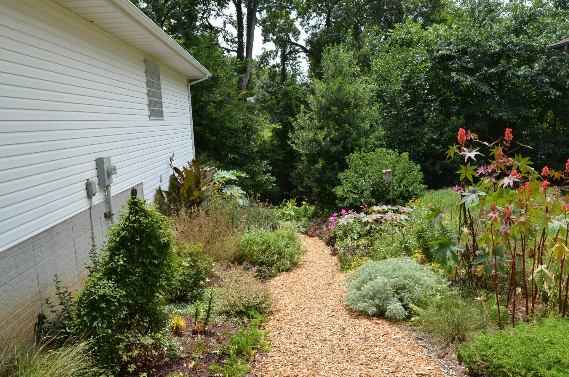 Path