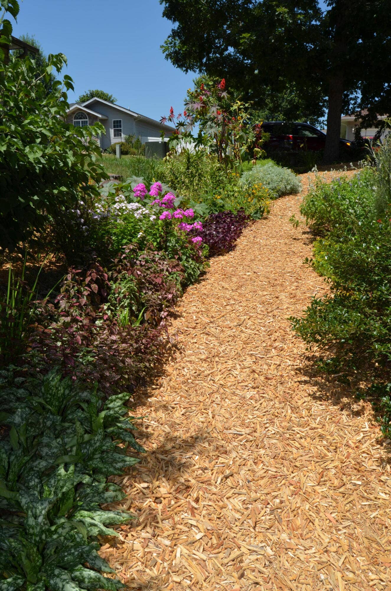 Flower Garden