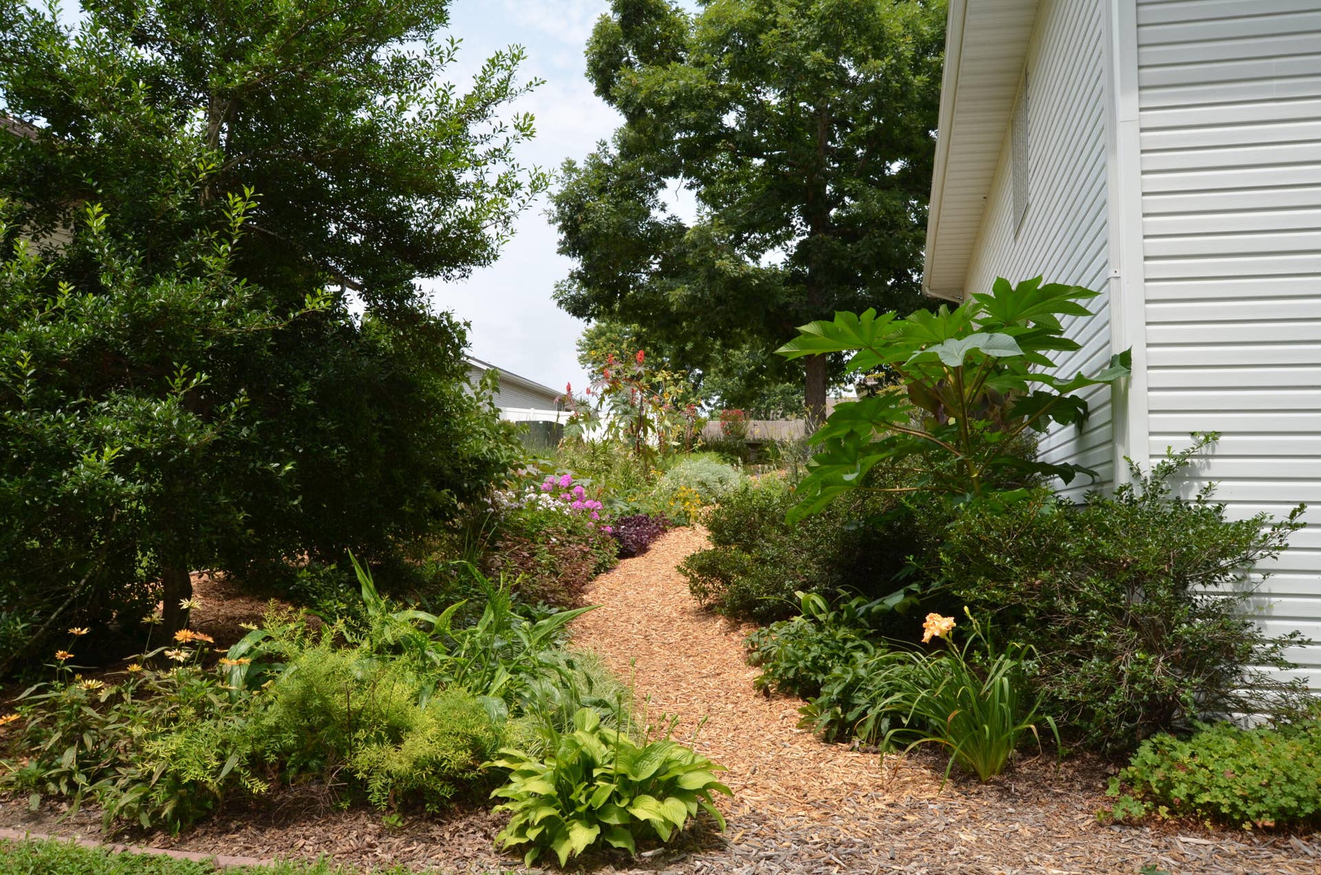 Flower Garden