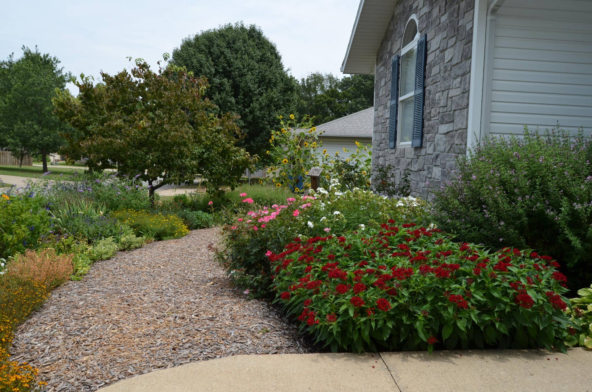 Front Yard