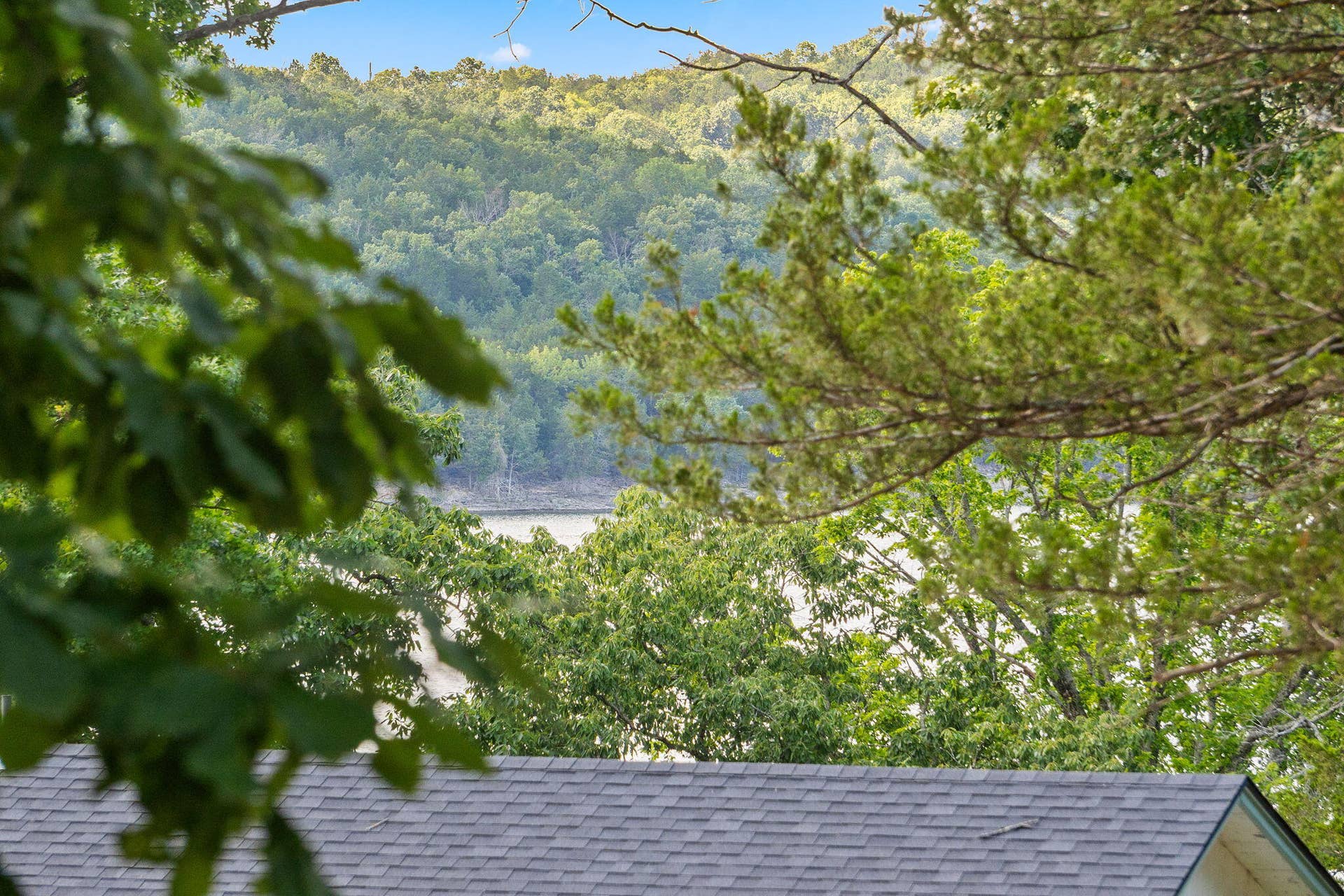 Lot 21a Kings Cove Lane, Reeds Spring, MO 65737 Lot-21a-Kings-Cv-Ln-Lake-Close-Lot