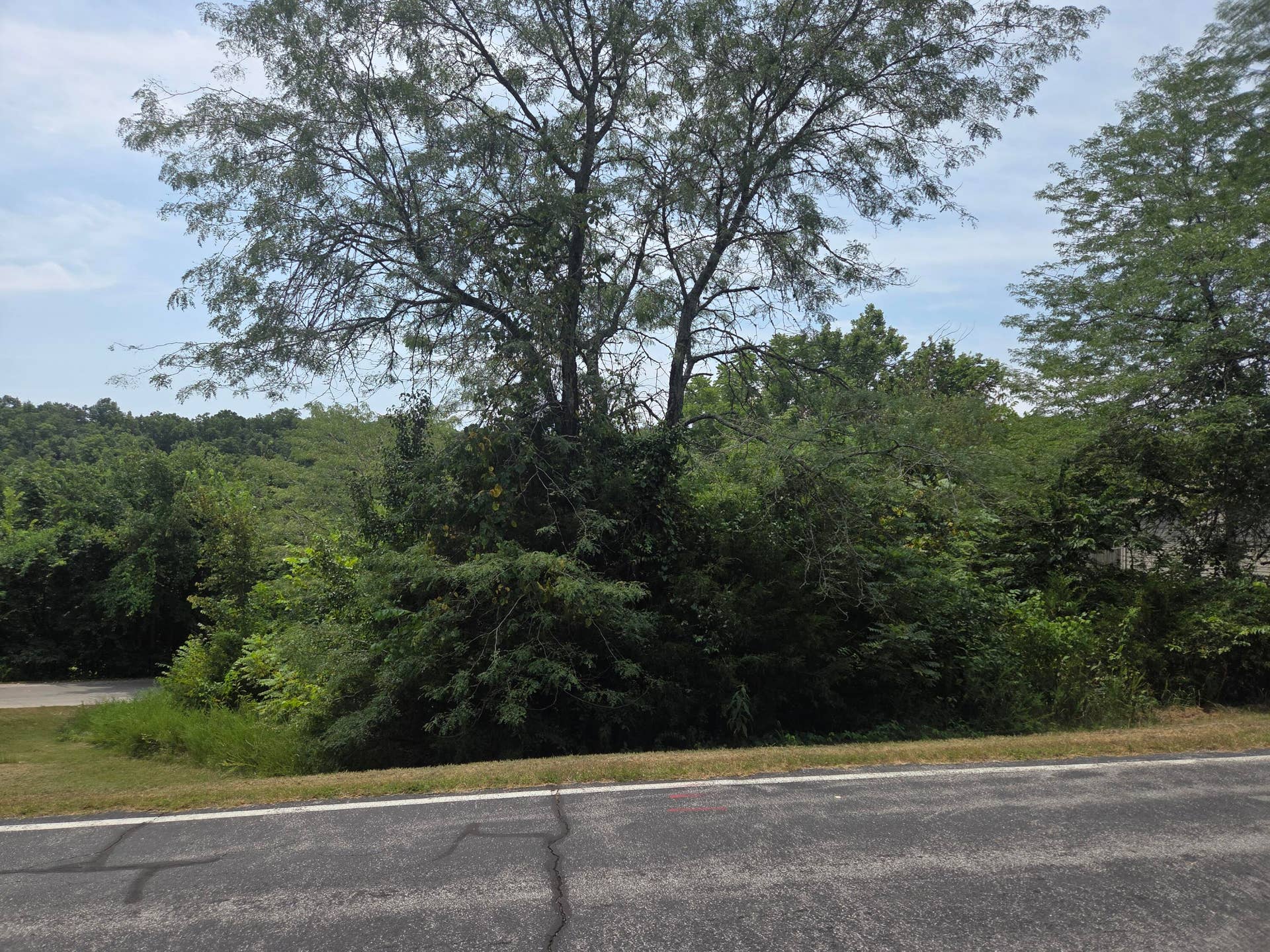 Lot 30 Roark Branch Road, Branson West, MO 65737 20260723_122457