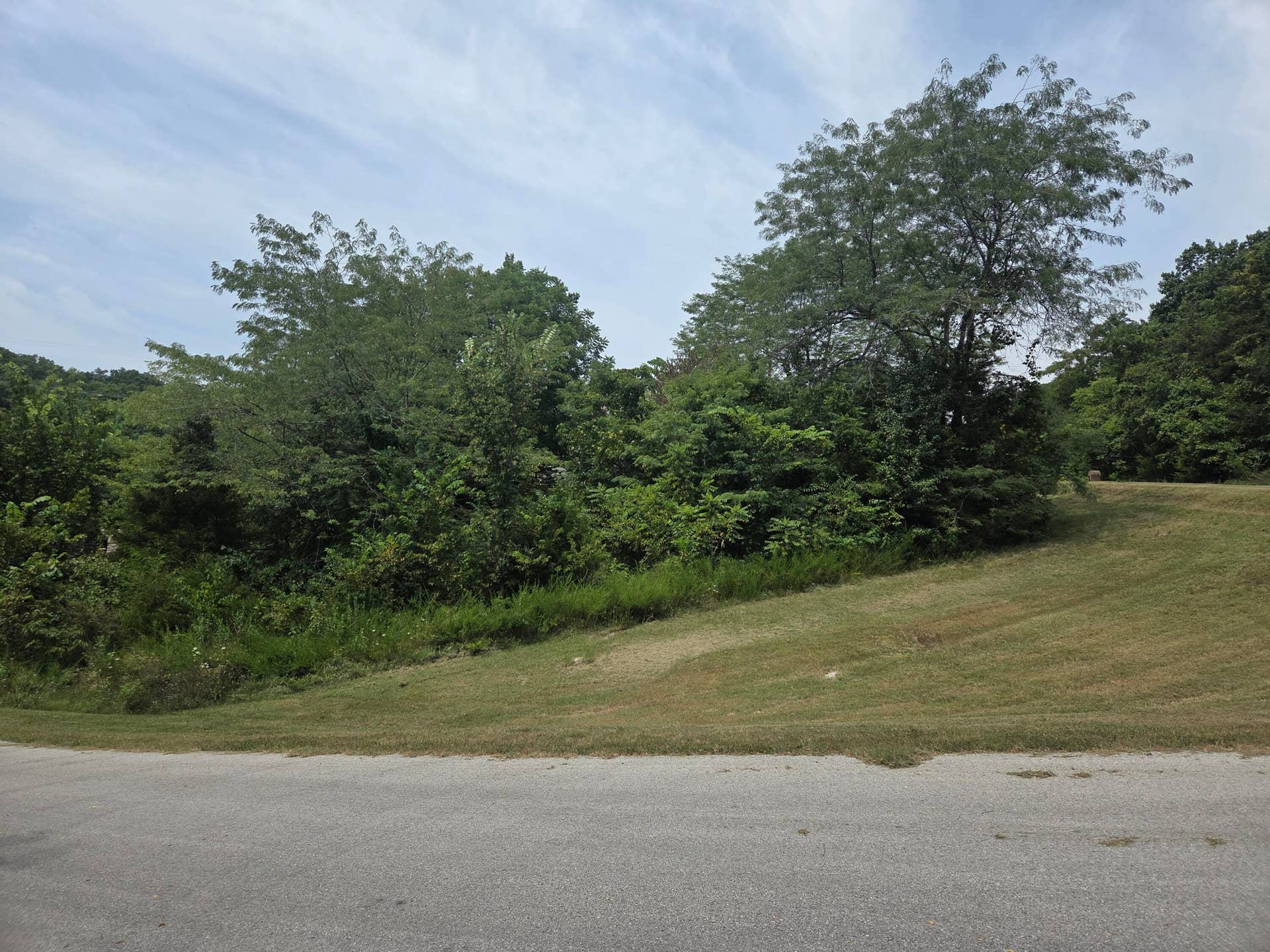 Lot 30 Roark Branch Road, Branson West, MO 65737 20260723_122543